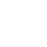 Punks & Primadonnas 