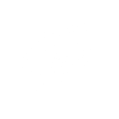 Punks & Primadonnas 